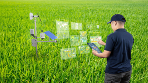 AI in farming