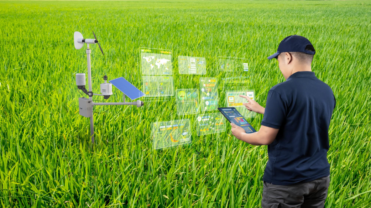AI in farming